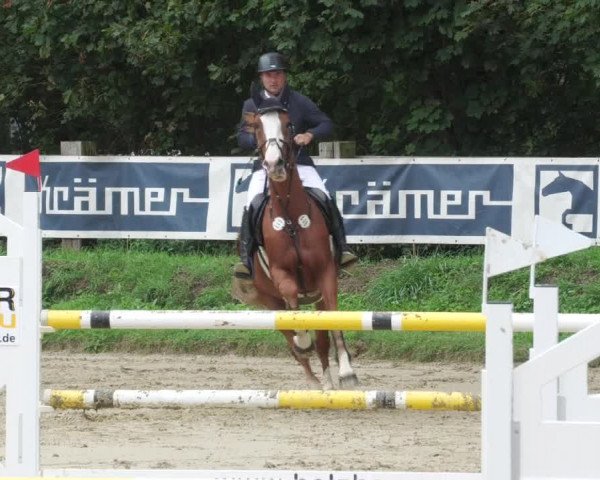 Reitturnier Walldorf/Winterheck 2022