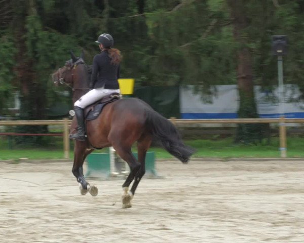 Reitturnier Walldorf/Winterheck 2022