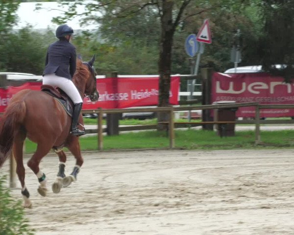 Reitturnier Walldorf/Winterheck 2022