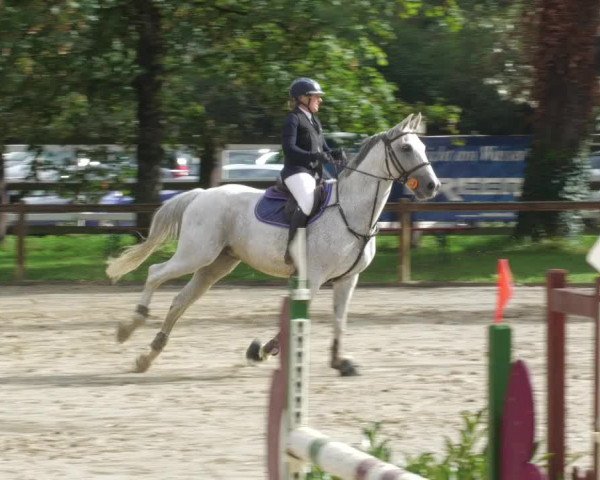 Reitturnier Walldorf/Winterheck 2022