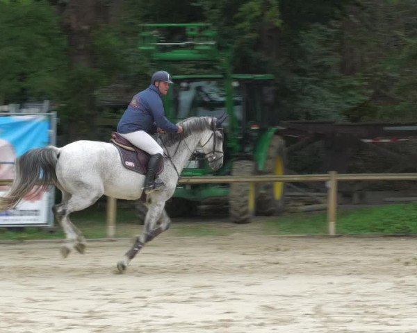 Reitturnier Walldorf/Winterheck 2022