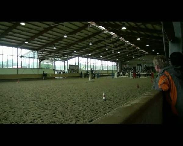 dressage horse Falkensteiner Gerry (Welsh mountain pony (SEK.A), 2005, from Leybucht's Galant)