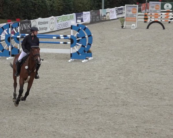 Reitturnier Leichlingen-Witzhelden 2022