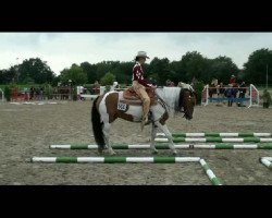 horse Nikita (Paint Horse, 2019)