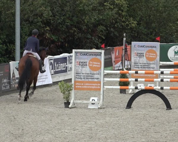 Reitturnier Leichlingen-Witzhelden 2022