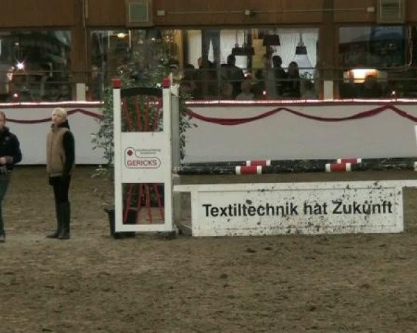 jumper Lilly Fee 11 (Westphalian, 2007, from Leonetti)