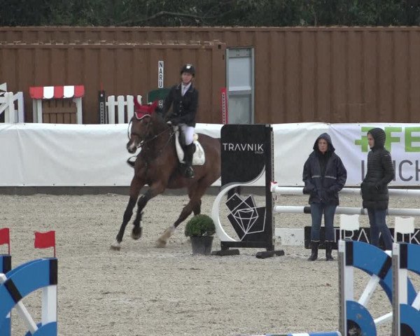 Reitturnier Leichlingen-Witzhelden 2022