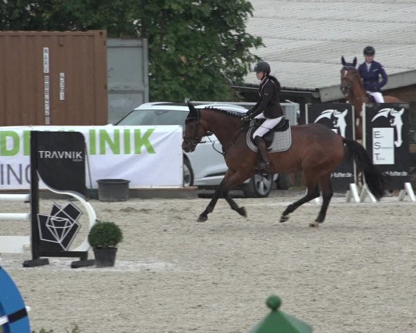 Reitturnier Leichlingen-Witzhelden 2022