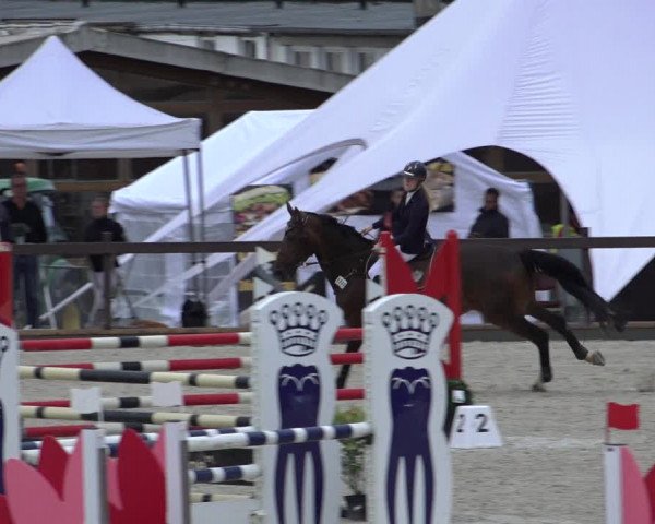 Reitturnier Leichlingen-Witzhelden 2022