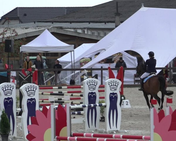 Reitturnier Leichlingen-Witzhelden 2022