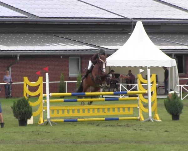 Reitturnier Münchehofe 2022