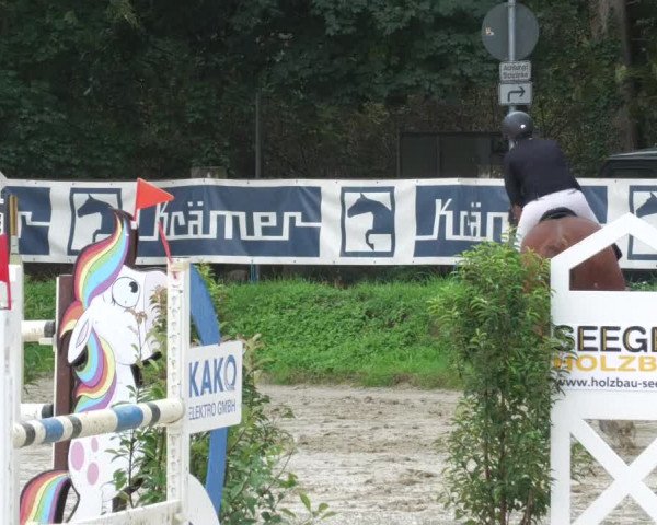 Reitturnier Walldorf/Winterheck 2022