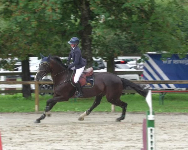 Reitturnier Walldorf/Winterheck 2022