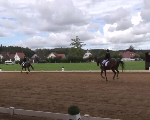 Reitturnier Babenhausen/Schw. 2022