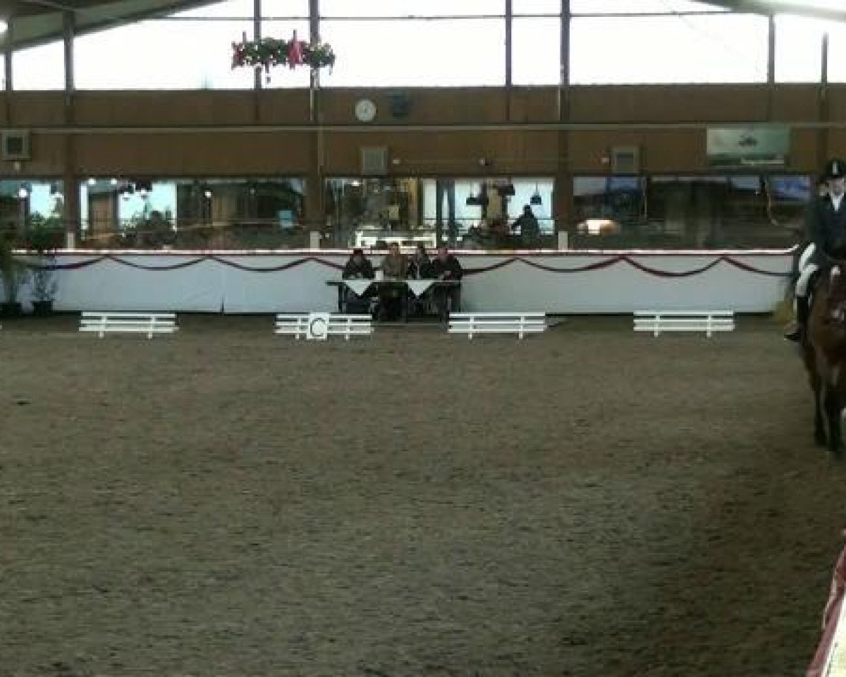 broodmare Geene (Lewitzer, 1994, from Gotas B.482 x)