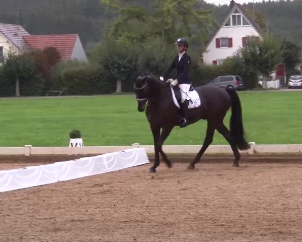 Reitturnier Babenhausen/Schw. 2022