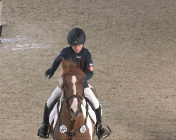 Springpferd Twobits (Deutsches Reitpony, 1999, von Tetworth Crimson Lake)
