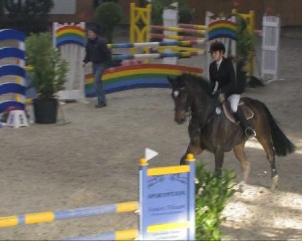 jumper Mexico 58 (Westphalian, 2000, from Phoenix)