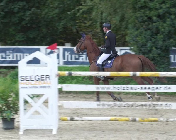 Reitturnier Walldorf/Winterheck 2022
