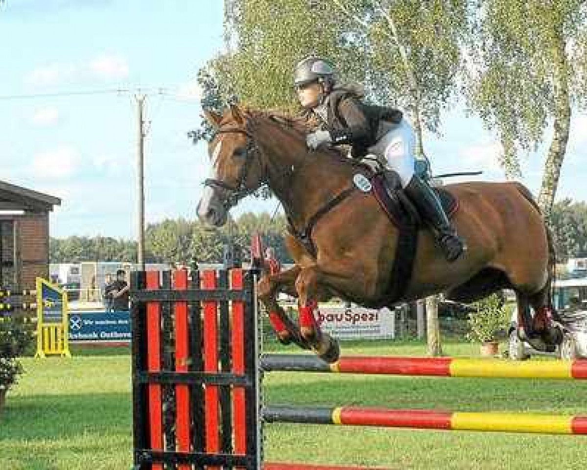 Klacz hodowlana Nirwana 11 (Bayer, 1994, od Nimmerday)