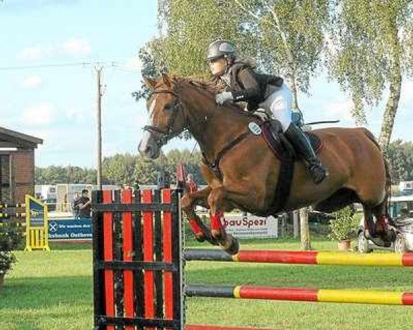 Chovná klisna Nirwana 11 (Bayer, 1994, od Nimmerday)