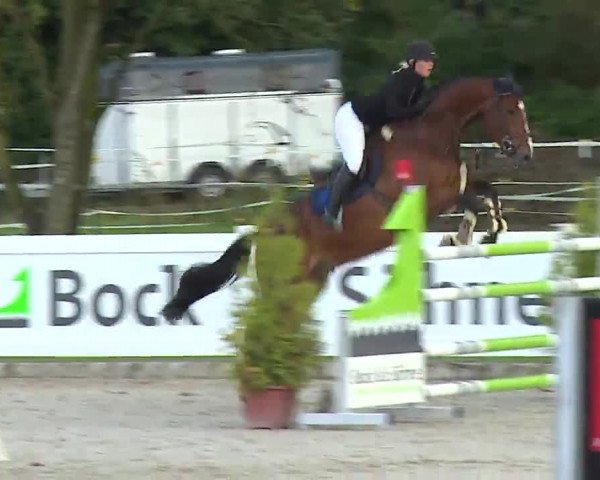 Reitturnier Babenhausen/Schw. 2022