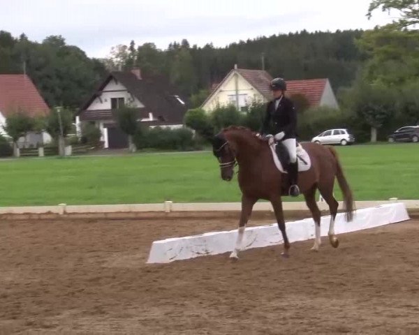 Reitturnier Babenhausen/Schw. 2022
