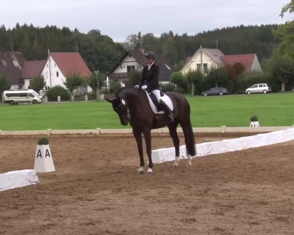 Reitturnier Babenhausen/Schw. 2022