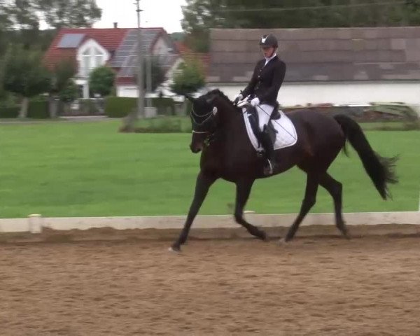 Reitturnier Babenhausen/Schw. 2022
