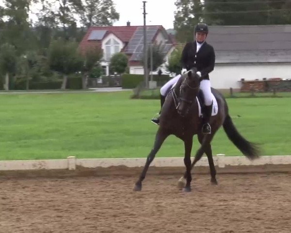 Reitturnier Babenhausen/Schw. 2022