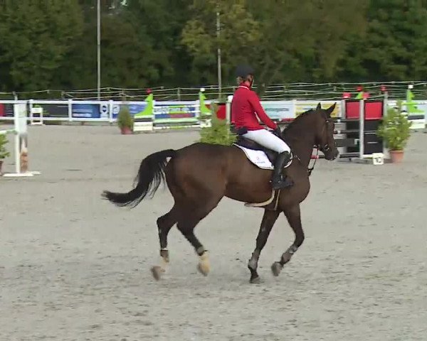 Reitturnier Babenhausen/Schw. 2022
