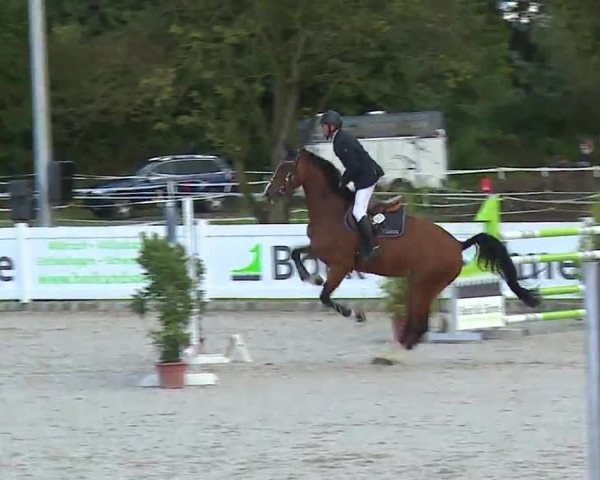 Reitturnier Babenhausen/Schw. 2022