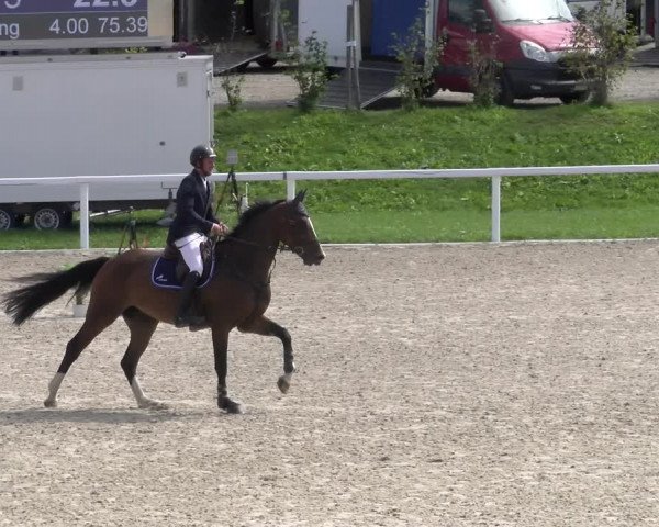 Reitturnier Bülach 2022