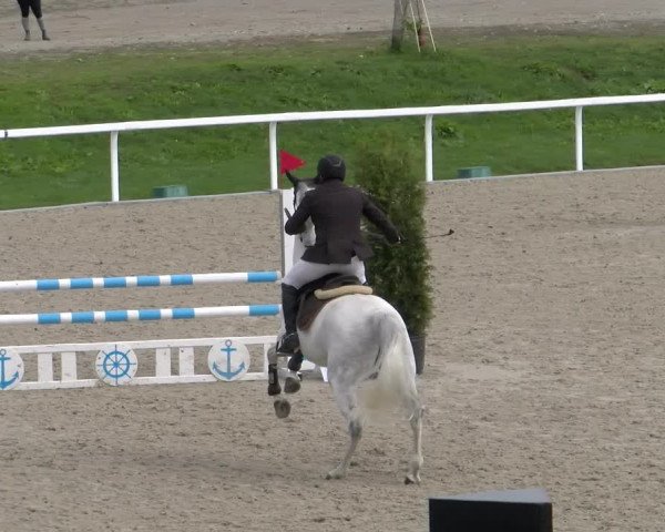 Reitturnier Bülach 2022