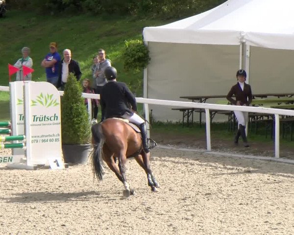 Reitturnier Bülach 2022