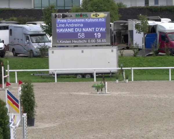 Reitturnier Bülach 2022