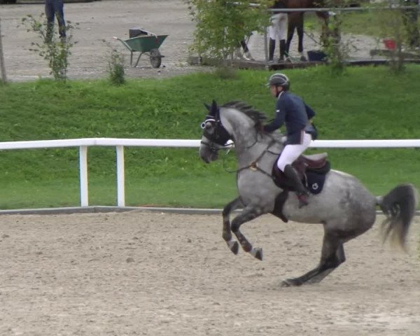 Reitturnier Bülach 2022
