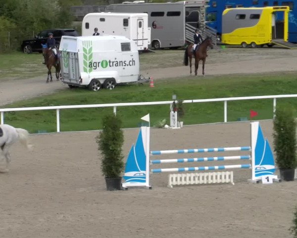 Reitturnier Bülach 2022