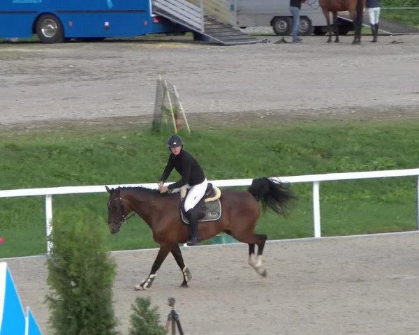 Reitturnier Bülach 2022