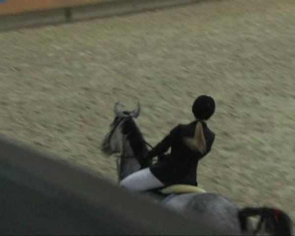 broodmare Abassara (Rhinelander, 2003, from Acorado's Ass)
