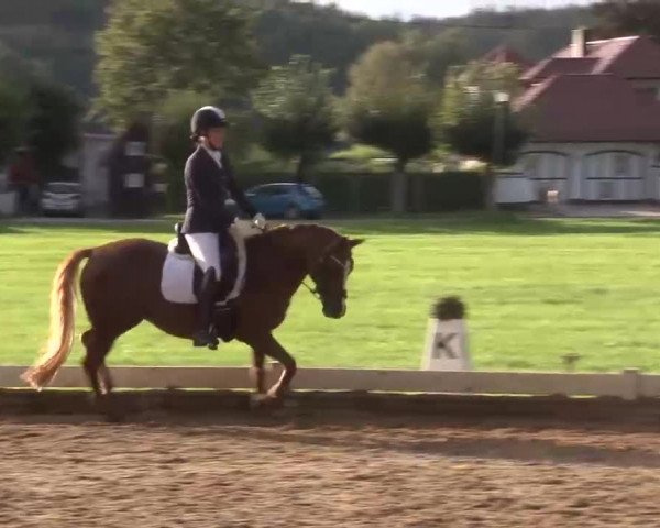 Reitturnier Babenhausen/Schw. 2022