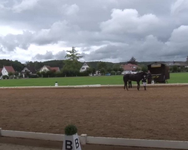 Reitturnier Babenhausen/Schw. 2022