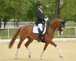 broodmare Danciana (Hanoverian, 2010, from Dancier)