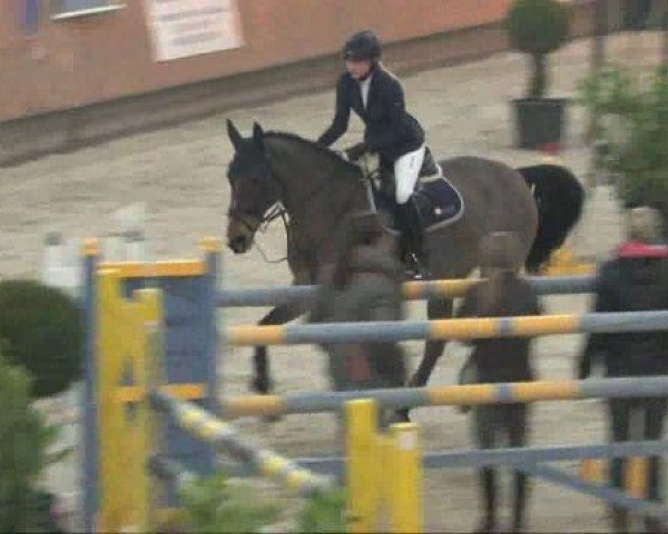 broodmare Parmant (KWPN (Royal Dutch Sporthorse), 1997, from Peter Pan)