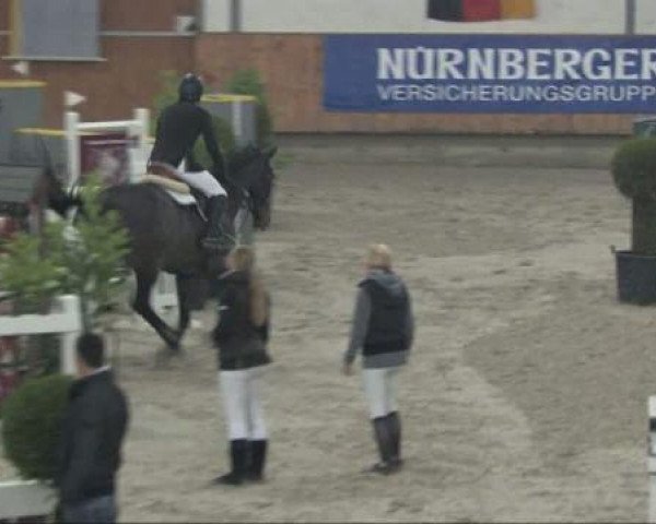 Springpferd Wabantha Fortuna (KWPN (Niederländisches Warmblut), 2003, von Kreator xx)