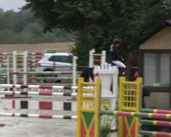 Reitturnier Appelhülsen 2022