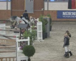 jumper Lord Liberty 20 (Westphalian, 2003, from Lamerto H)