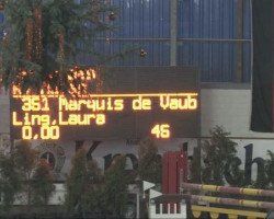 Springpferd Marquis de Vauban (Selle Français, 2000, von Type D'Elle)