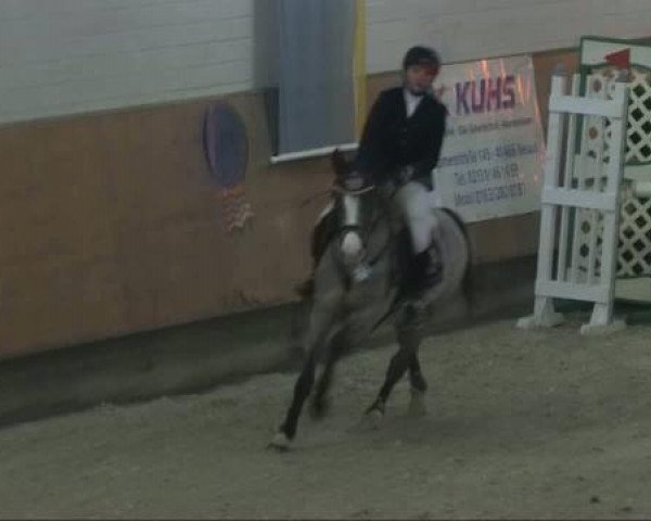 jumper Chiara de Luxe (German Riding Pony, 2002, from FS Champion de Luxe)