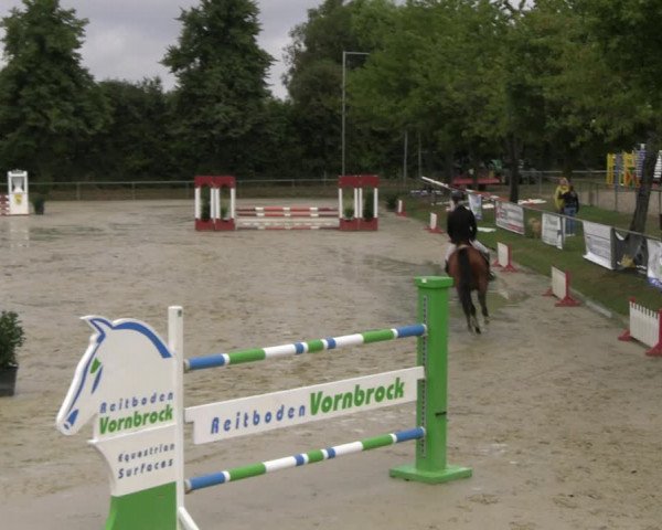 Reitturnier Appelhülsen 2022
